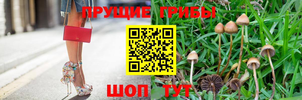 Мыски  Псилоцибиновые грибы Psilocybine cubensis  Галлюциногенные грибы ЛСД  Вход с VPN 